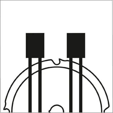 Formas do dente - dente reto