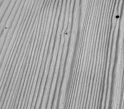 Superfície após ter sido lixada com as cerdas de plástico da escova Rustilon.